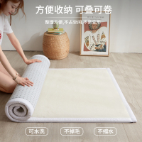 俏佳人房间卧室地垫女孩2022新款床边地毯瑜伽垫子家用防滑吸水健身加绒厚