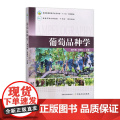 葡萄品种学 327108 惠竹梅,张振文 普通高等教育农业农村部“十三五”规划教材 普通高等农林院校“十四五”规划教通