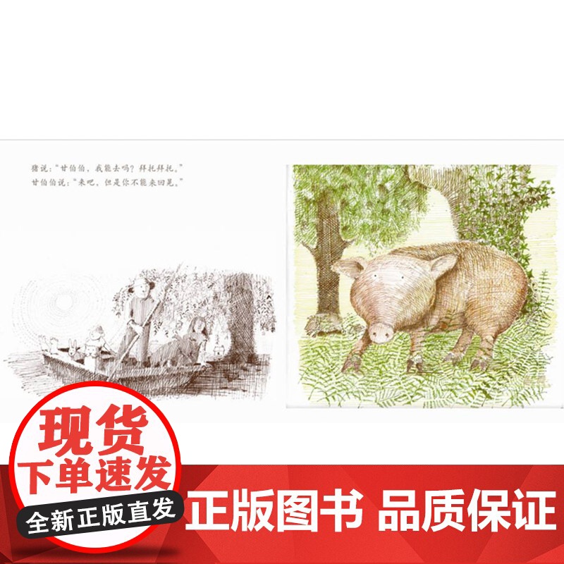 和甘伯伯去游河硬壳精装图画书启发绘本在欢笑中学习守规则的重要性约翰伯宁罕作品获凯特格林纳威奖大奖3岁4岁5岁6岁幼儿园童高清大图