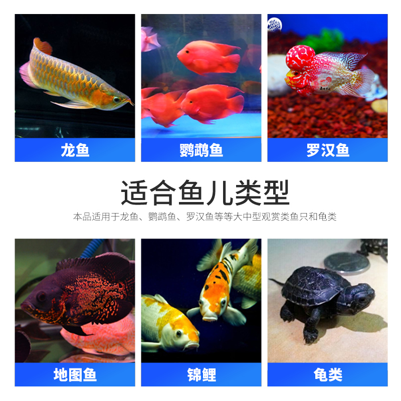 干虾鱼食血鹦鹉鱼粮银龙鱼罗汉发财热带鱼食龟粮龙鱼饲料高清大图