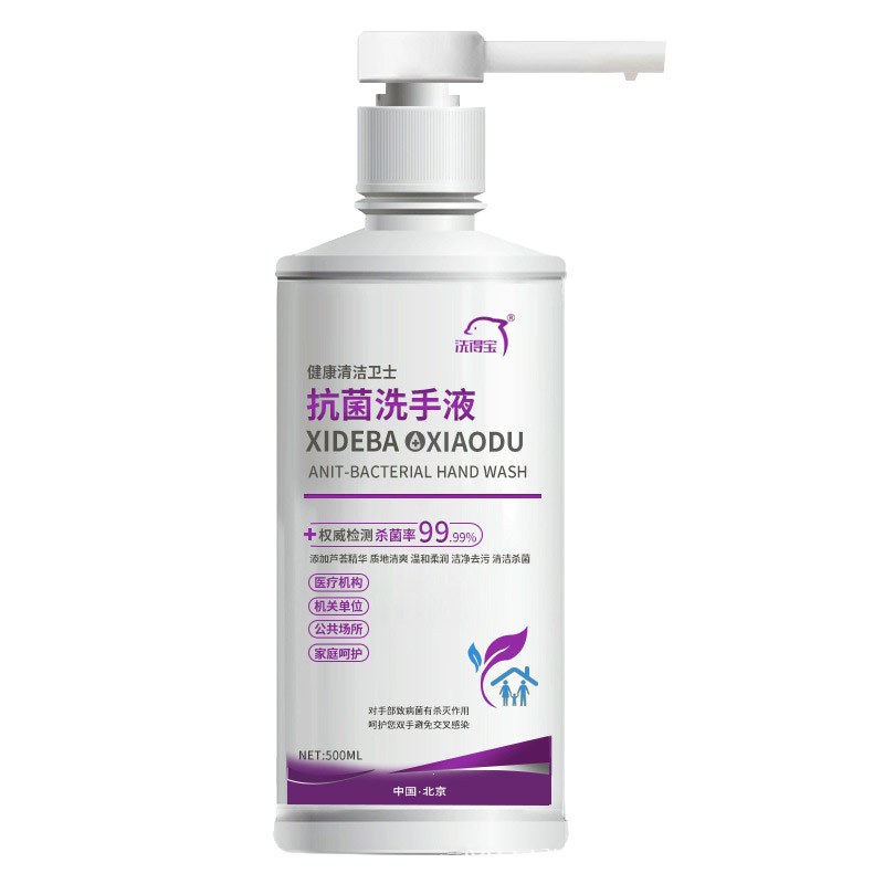 洗得宝 洗手液 抗菌洗手消毒液500ml 办公室按压式清洁 2瓶/袋(单位:袋)