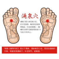 艾灸贴正品艾草贴贴生姜足贴艾叶贴热灸贴睡眠老北京脚底艾艾脚贴
