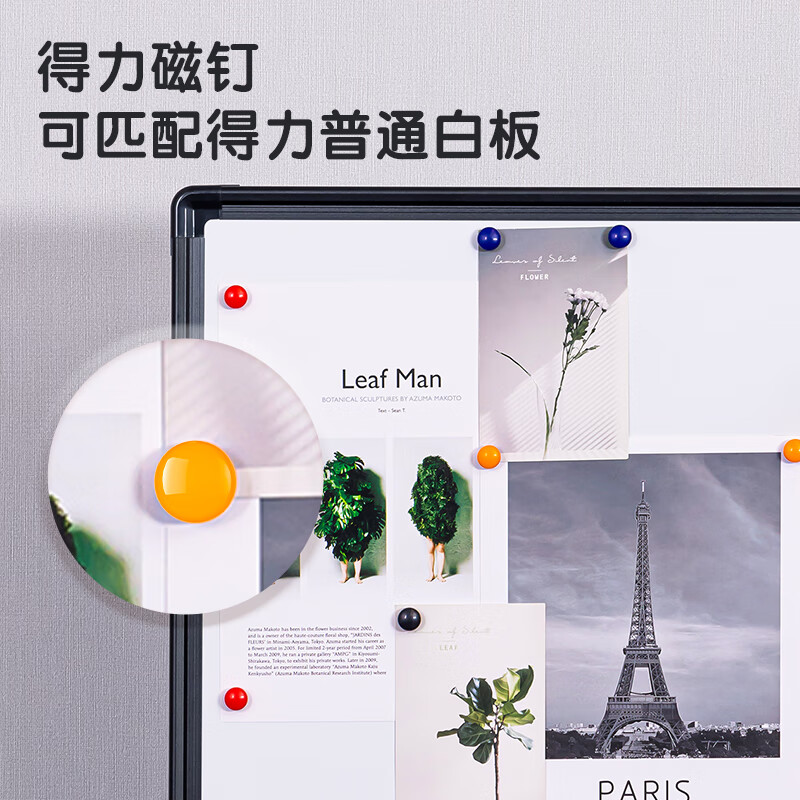 得力12支/卡彩色球面磁钉圆形磁粒磁铁吸铁石扣磁钉7823高清大图