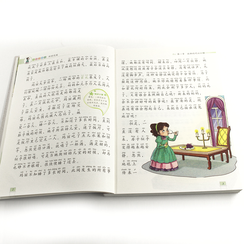 [正版]智慧熊彩绘注音版 秘密花园 小学生一二三年级读物书课外阅读书籍 6-8-9周岁经典书物儿童名著