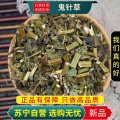 沈之问 鬼针草100克/袋