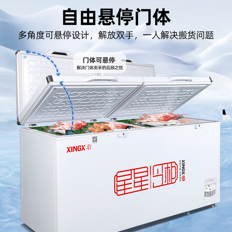 星星(Xingx) 718升 冰柜冷柜 商用卧式大容量 冷藏冷冻转换单温冰柜 一级能耗(白色)BD/BC-728GE高清大图