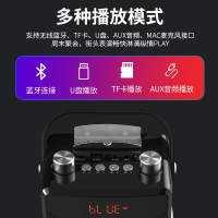 MALATA万利达 X20广场舞音响户外移动大功率低音炮便携式手提音箱 插卡录音无线蓝牙音箱迷你组合音响 标配版