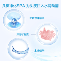 海飞丝(Head & Shoulders)丝源复活组合头皮净化护发素530ml/瓶 宝洁出品