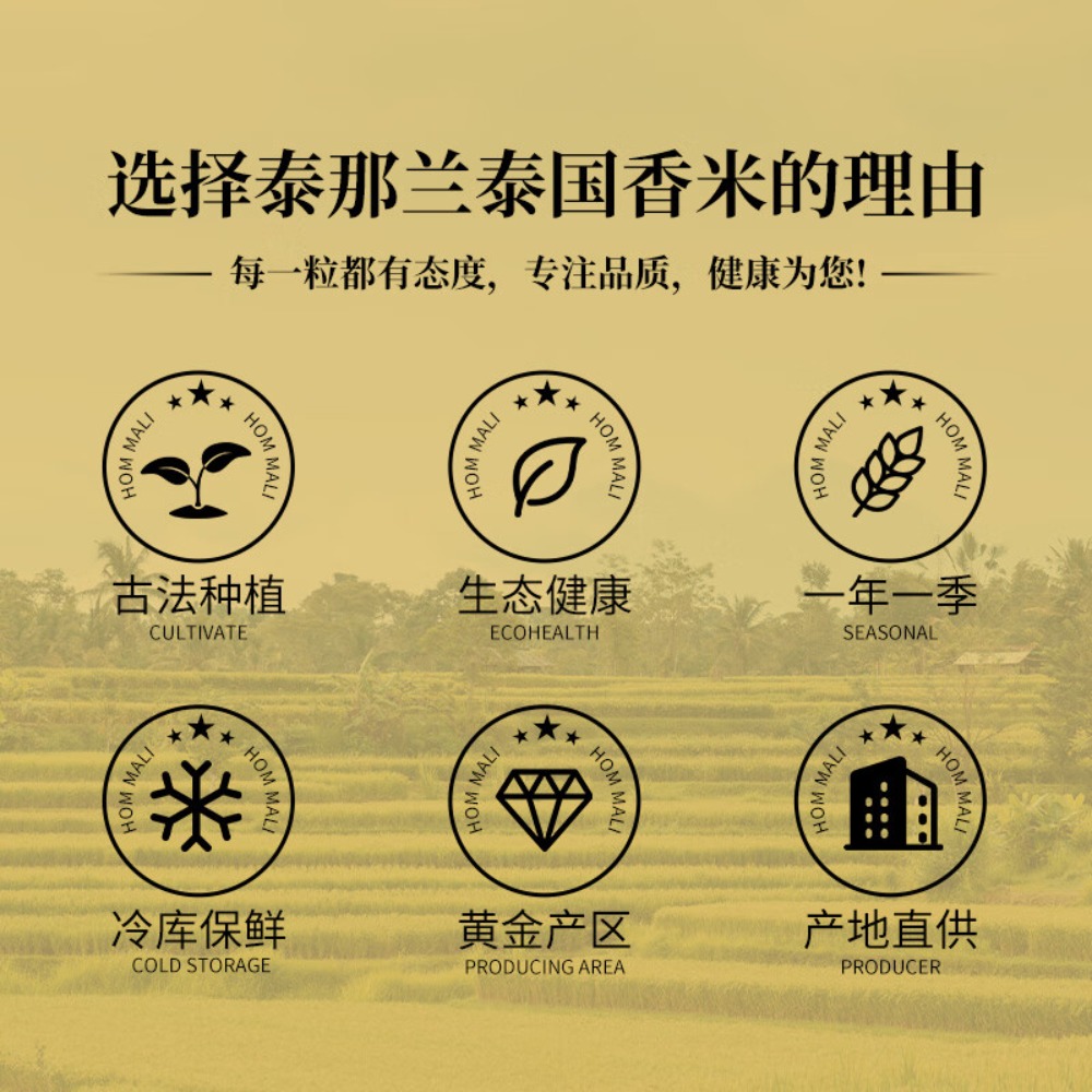 泰那兰 原粮进口猫牙米长粒香大米优质新米炒饭典雅泰国 香米5kg高清大图