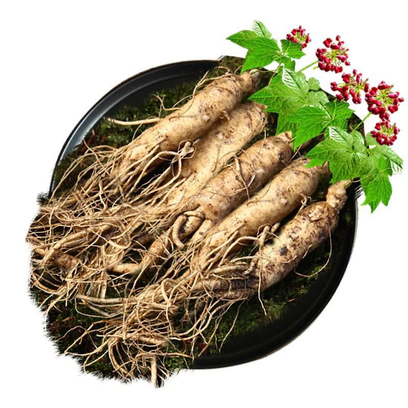 【大人参单支20-25克】伍品汇 东北长白山鲜人参新鲜现挖现发带土人参