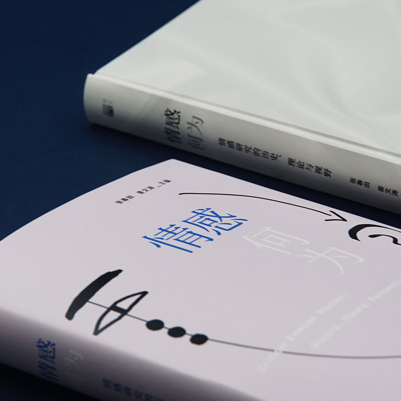 [醉染正版]情感何为 情感研究的历史、理论与视野 北京大学出版社 张春田,姜文涛 编 文化理论高清大图