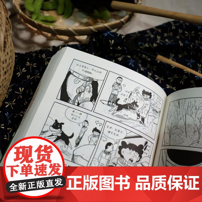 不方便但很幸福 洪渊植绘 600页超长篇漫画 今日漫画奖作品 体验隐居一年四季的真实日常 图像小说 后浪漫漫画书籍高清大图