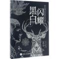 黑白闪耀 黑白创意装饰图案绘制宝典（绘客出品）