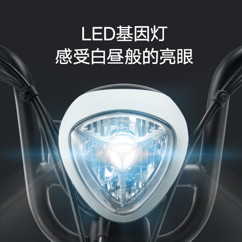 雅迪新款电动车乐萌48V12Ah铅酸电池电动自行车轻便代步小型电瓶车白色