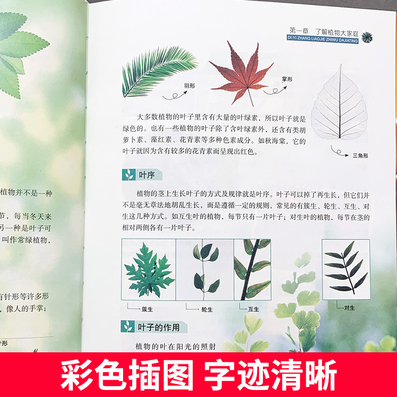 [醉染正版]植物百科全书 彩图版 精装 献给青少年的优秀作品 6-10-14岁少儿童科普知识拓展读物 三四五六年级小学生高清大图