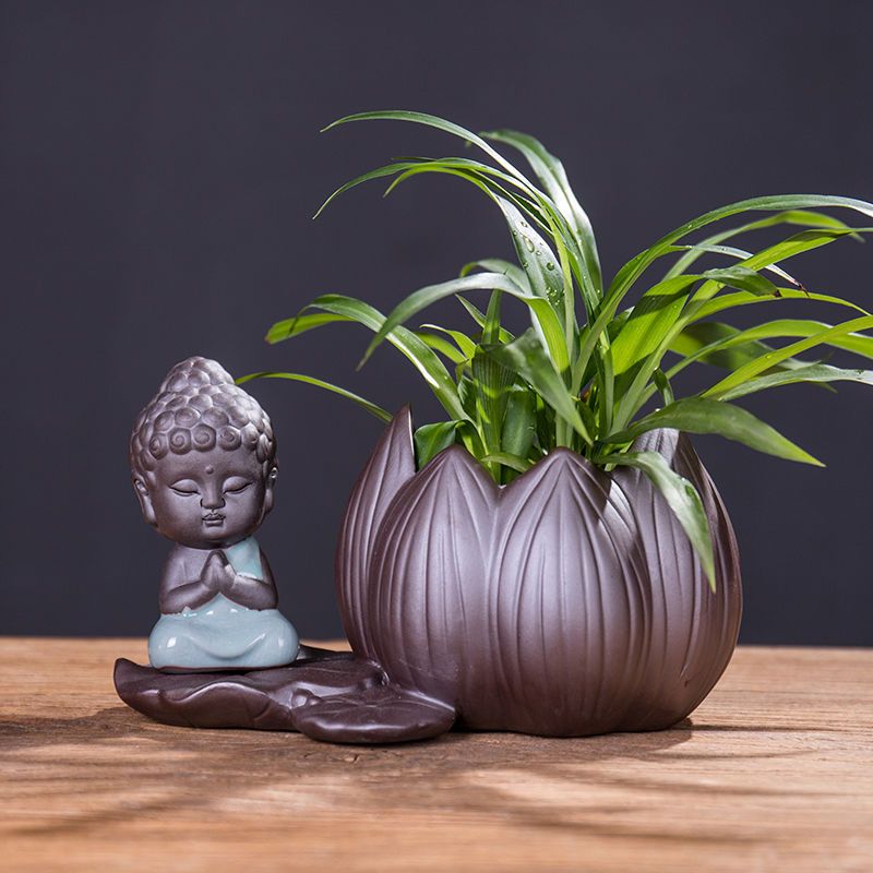 新品创意摆件迷你玻璃透明水培绿萝客厅茶几家居陶瓷桌面花瓶|哥窑花器【水芝】-如来【送文竹】
