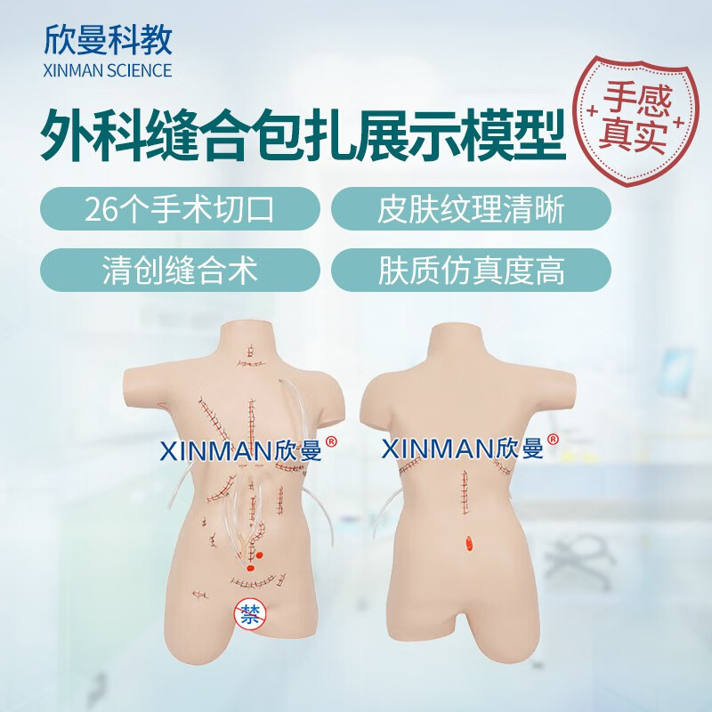 欣曼科教 外科缝合包扎展示模型 清创缝合拆线换药模拟人XM-LV18