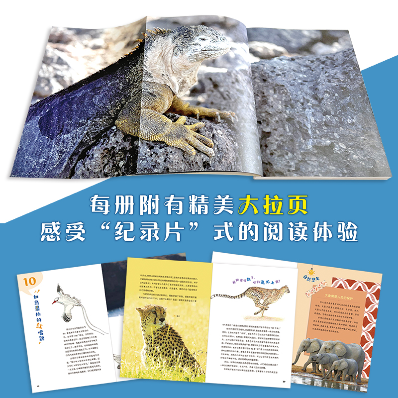 浙江少年儿童出版社科普/百科报价_参数_图片_视频_怎么样_问答-苏宁