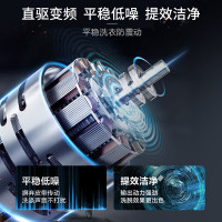 海尔(Haier)10公斤 变频 全自动 波轮洗衣机 1.0洗净比 纳米微泡净 除菌除螨 XQB100-BZ20B0