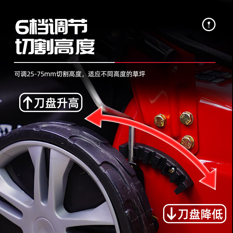 林晟电启动割草机汽油机除草机21寸自走草坪修剪推草机打草机LS521SLD高清大图