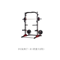 迈特森史密斯机(轻商用)GM6101
