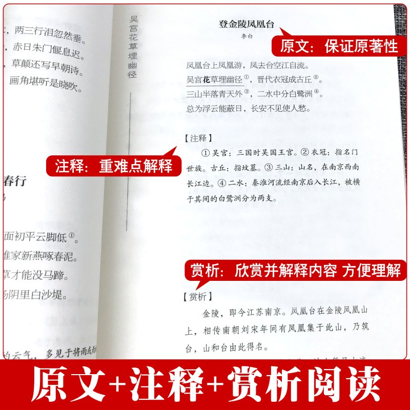 [正版]飞花令里读诗词全套10本唐诗宋词全集鉴赏辞典赏析中国文学古典浪漫诗词大会书籍原文注释宋词三百首中小学生国学经典