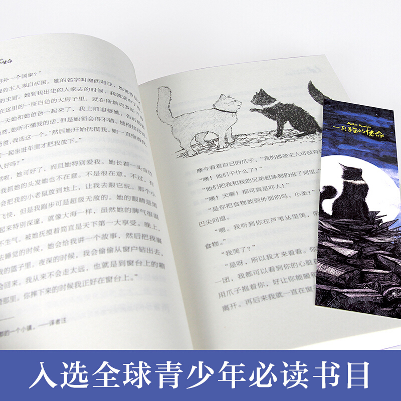 正版 一只猫的使命 长青藤 大奖小说书系 儿童文学8-10-12-15岁少儿读物图画书 三四五六年级小学生课外阅读书籍