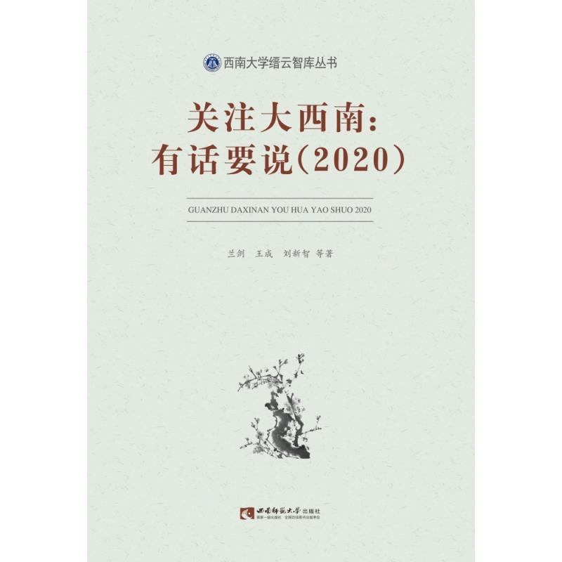 正版新书】关注大西南:有话要说(2020)兰剑,王成,刘新智等9787