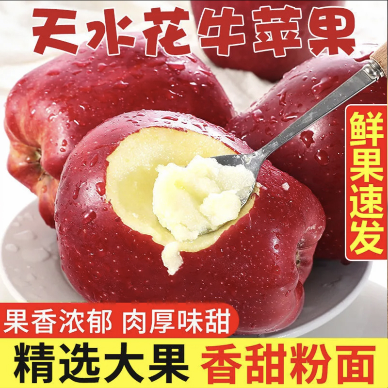 甘肃花牛苹果 5斤 单果75-80mm 新鲜水果 陈小四水果 生鲜特产