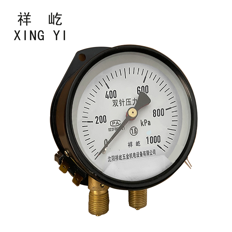 祥屹 双针压力表 带灯24V YZS102 块高清大图