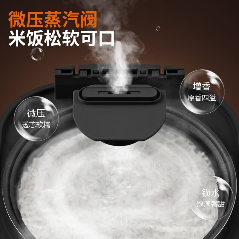 九阳电饭煲F30FZ-F4170高清大图