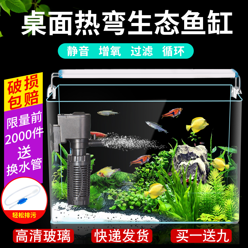 金鱼观赏鱼 报价行情 排行 品牌 参数 怎么样 图片 商家 苏宁易购