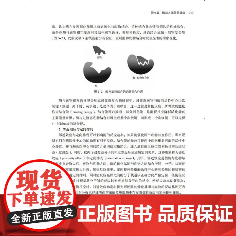 教材.营养生物化学与分子生物学高等学校食品营养与健康专业教材/中国轻工业十四五规划教材吕欣主编出版年份2024年最新印刷高清大图