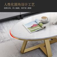 北欧沙发大理石茶几简约现代客厅轻奢网红椭圆形设计师阳台小户型