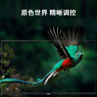 海信（Hisense）HZ40E35D 40英寸 海量内容 纤薄机身 家庭VIDAA AI 智能操控 智能电视机