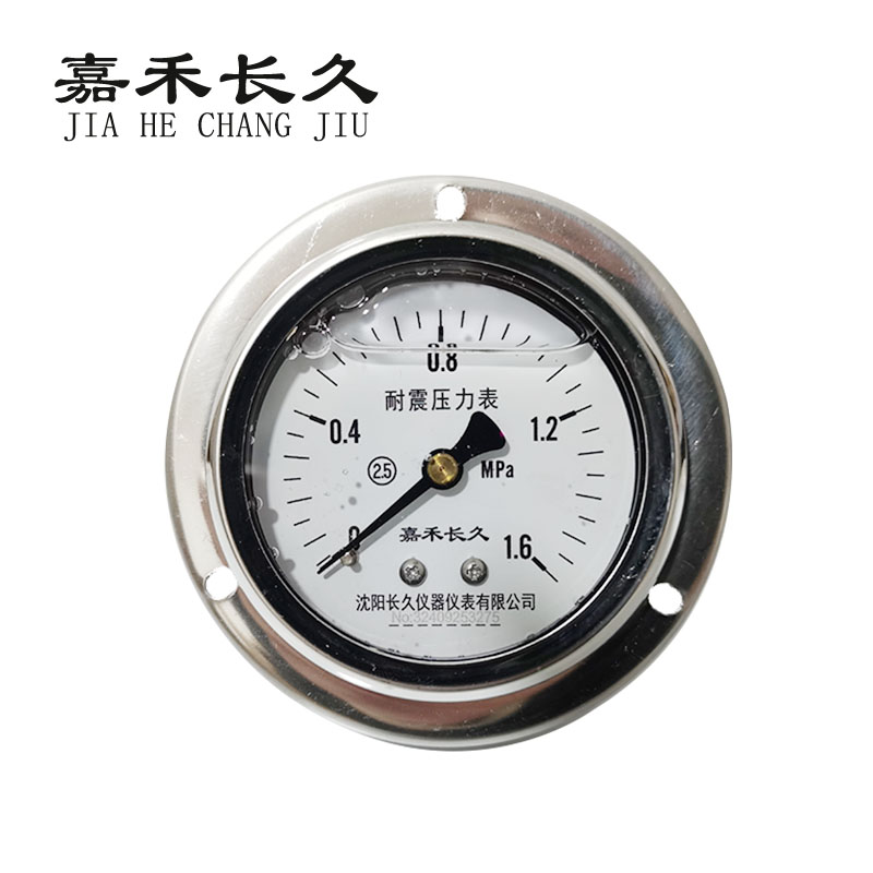 嘉禾长久+耐震压力表轴向带边检测定制型+YTN60ZT+块 0-1.6Mpa