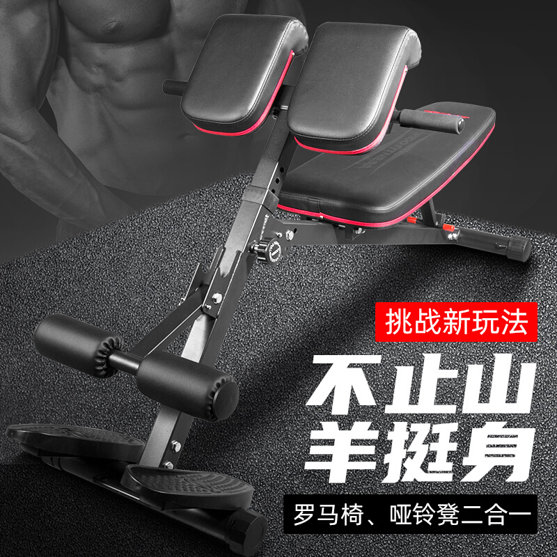 力动RIDO 罗马椅多功能家用可折叠哑铃凳腹背肌仰卧起坐健身椅健身器材
