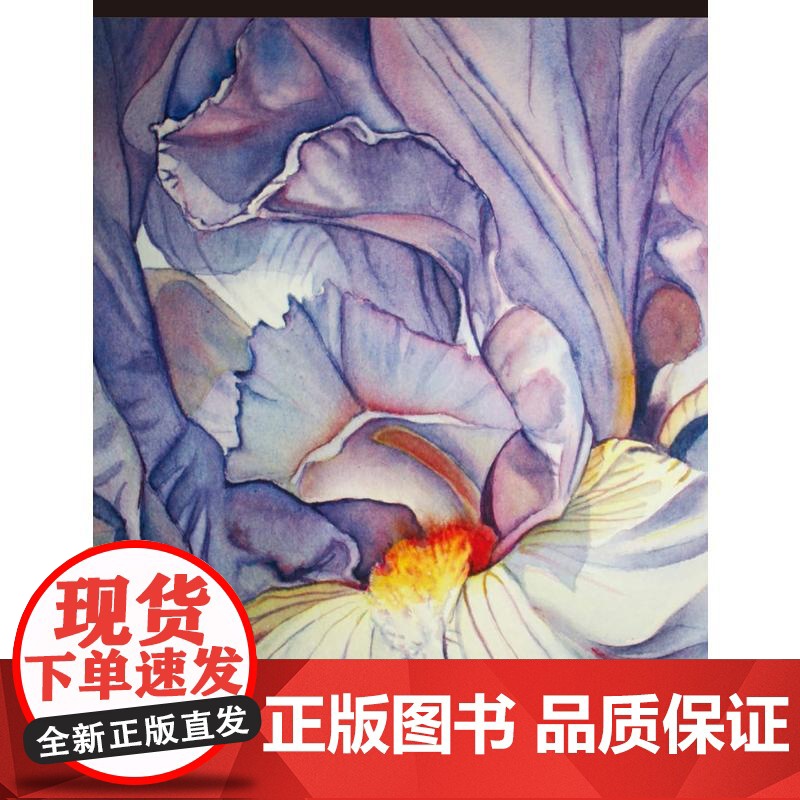 正版 365个水彩的诀窍 西方经典美术技法译丛 水彩画技巧 学习水彩绘画指南 水彩绘画教程 水彩画教材 上海人民美术高清大图