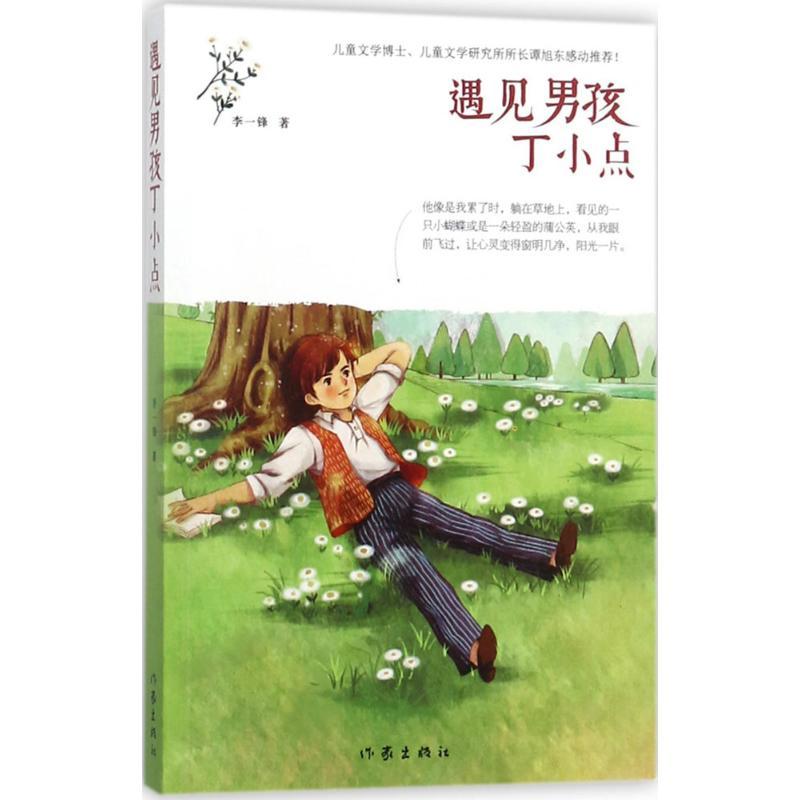 遇见男孩丁小点 李一锋 著 著 少儿 文轩网