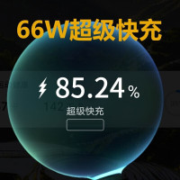 ZNNCO 适用华为66w充电器超级快充mate40pro/nova8se/荣耀v40s/P50手机 [直插闪充套装]