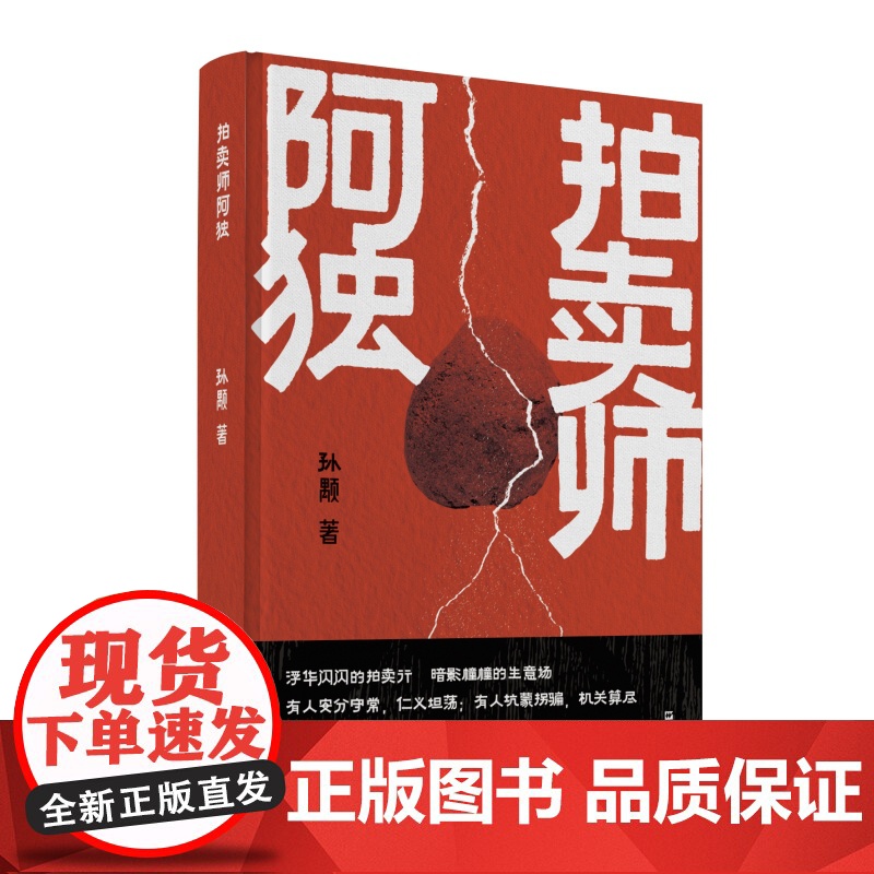 拍卖师阿独 孙颙奇思小说太史公笔法书写奇人奇事上海文艺出版社另著漂移者/缥缈的峰/风眼/他们的世界/哲学的瞌睡/爱因斯坦高清大图