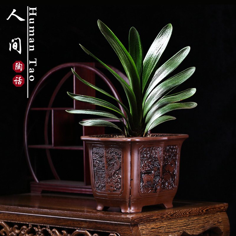 宜兴紫砂仿古盆景盆浮兰花盆君子兰花盆特大号花盆花盆