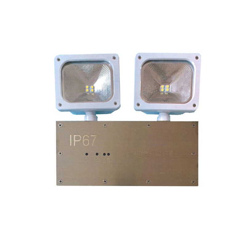 顶火(深圳光明顶)GMD9501-G 应急照明灯具 LED应急灯高清大图