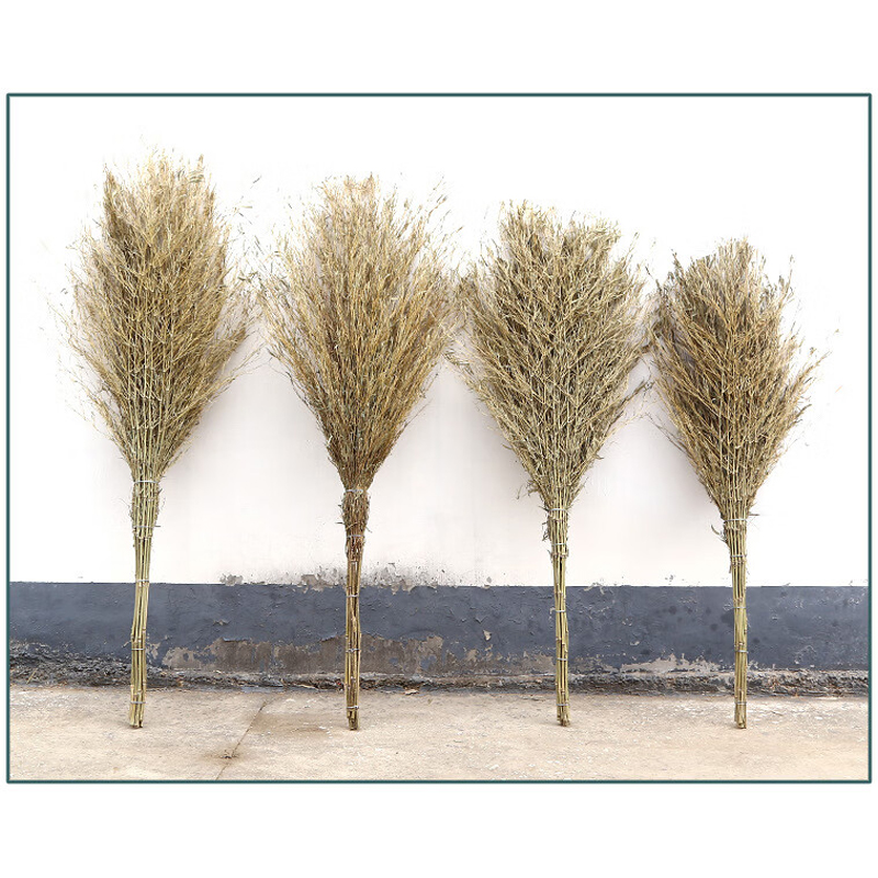 谋福 一体式大扫把 无叶加厚扫把 (一体老枝竹扫把)*/个高清大图