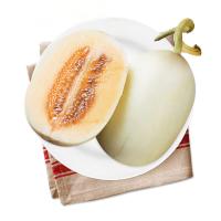 展卉 海南东方蜜瓜 2个装 单果重量约400-600g 新鲜水果