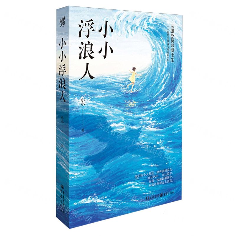 [N]小小浮浪人-9787229184865高清大图