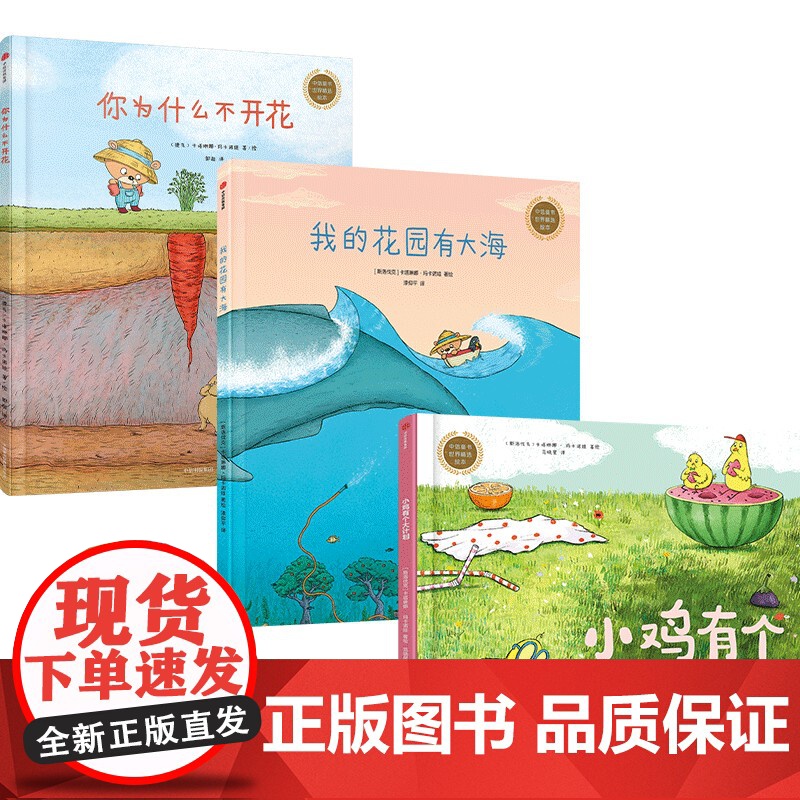 你为什么不开花绘本系列 全3册 我的花园有大海 小鸡有个大计划 保持乐观好奇心 创意观察想象力3-6岁儿童绘本图画课外阅高清大图