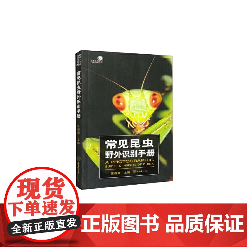 常见昆虫野外识别手册高清大图