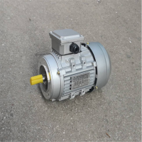 YS7124 370W三相异步电动机