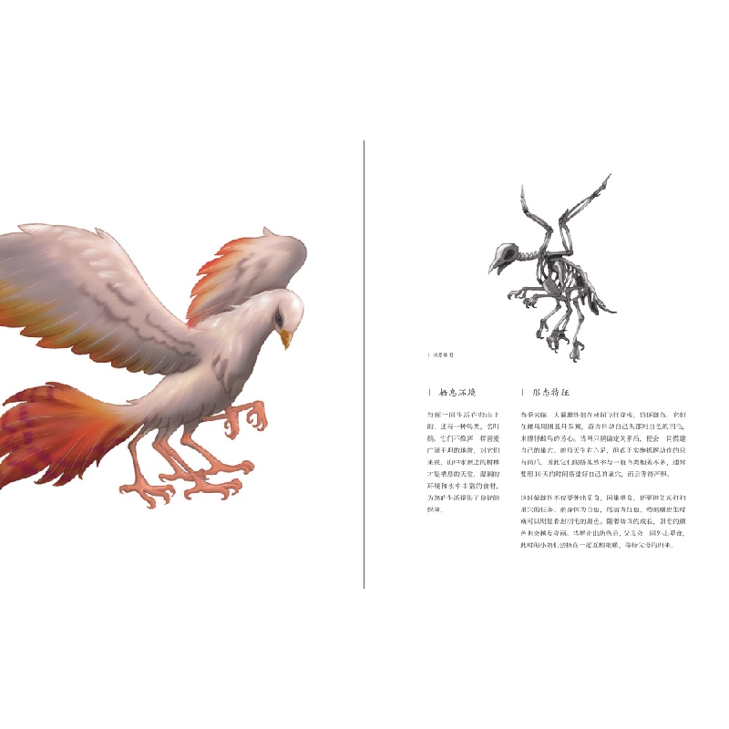 醉染图书奇兽:山海经动物图鉴Ⅱ9787568271高清大图